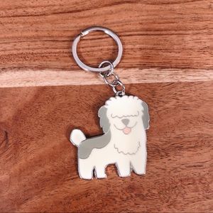 Key chain key ring